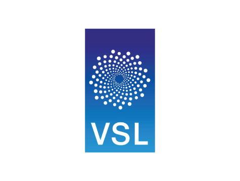 VSL ロゴ